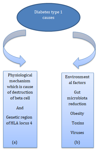 Figure 2: Showing the causing factor of type 1 diabetes which are (a) physiological mechanism (b) environmental factors.