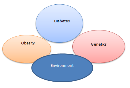 Figure 3: Showing the relation of diabetes with genetics, obesity and environment.