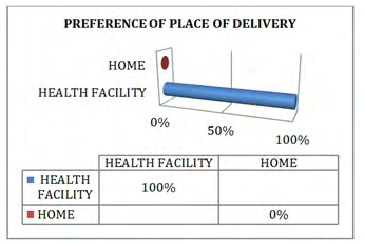 Figure 18: Is a pie which is representing the people who assisted the respondents during the home delivery.