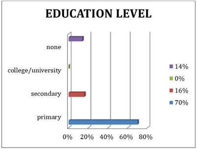 Figure 8: Is a graph representing the percentages of the monthly income of the respondents.
