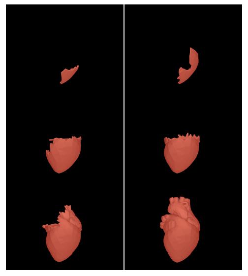 Figure 11: Heart generation steps by an ordered sequence of cells in ordinary triangles (POV-Ray 3.7 rendering). View Animation (Requires Internet Connection)