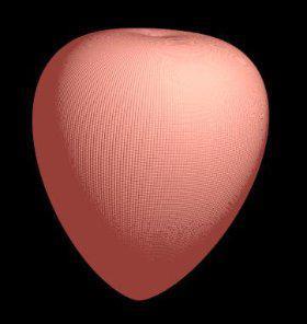 Figure 7: Heart sequential horizontal sections (POV- Ray 3.7 rendering). View Animation (requires internet connection) (See POV-Ray 3.7 code to generate Figure 8 in Appendix C). Random Cellular Automaton Generating A Simple Heart-Like Structure (Order From Chance): A sensibly more realistic dynamics can be obtained adding to the model proposed in the previous section the constraint that each mother cell may generate a daughter cell only in a contiguous position (as it is required for cellular automata). The result is shown in Figure 9 and related animation. (See POV-Ray 3.7 code to generate Figure 9 in Appendix D).