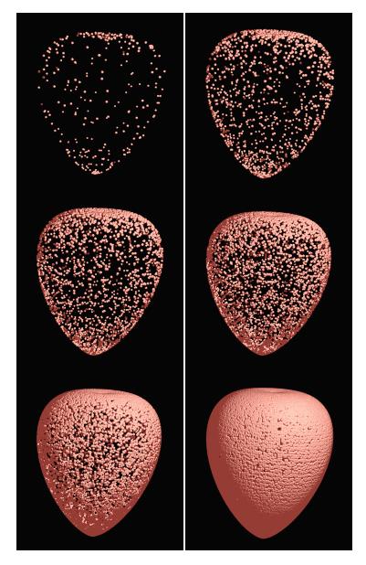 Figure 8: Heart random generation steps (POV-Ray 3.7 rendering). View Animation (requires internet connection)
