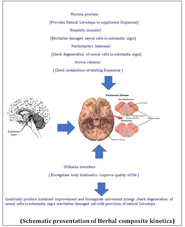 Figure 10: Shows Herbal composite bio kinetics.