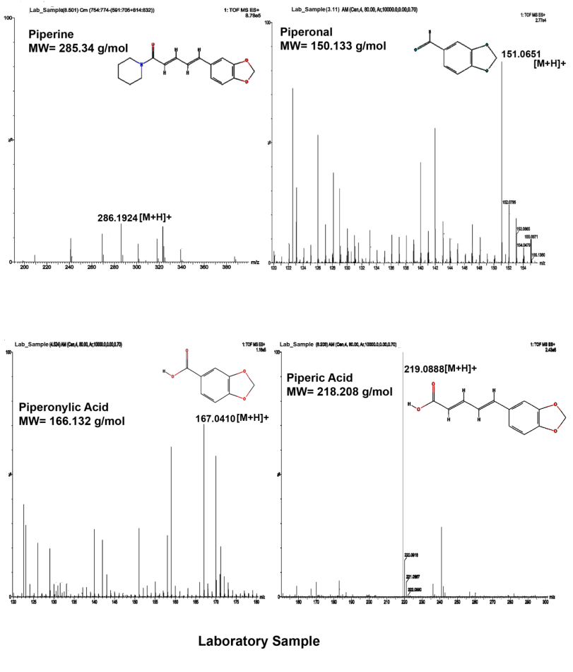 Figure 1: Piperine and its derivatives from laboratory sample.