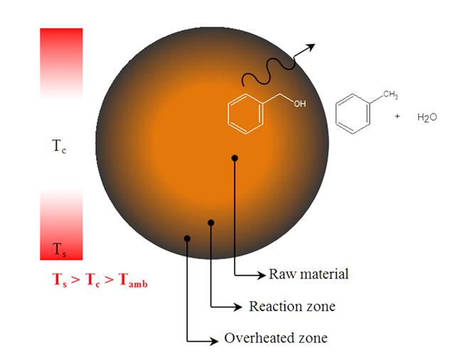 Figure 2: Temperature distribution within a lignin particle with a diameter of (A) 2 mm, (B) 4 mm, and (C) 10mm.