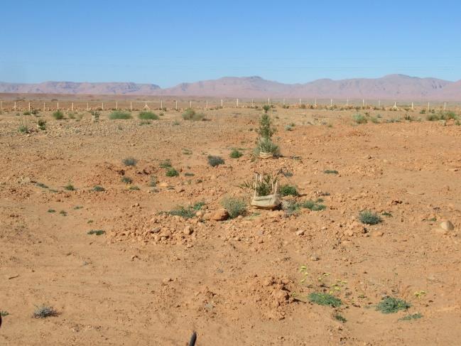 Figure 3: The farmer is constructing a building for the irrigation machinery that includes adding nutrients to the water in carefully calculated doses.