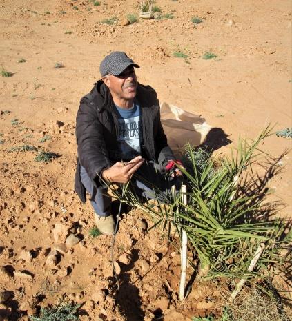 Figure 5: Farmer is kneeling beside a newly planted tree.