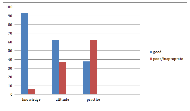 Figure 1: Knowledge, attitude, and practice to MTCT and PMTCT of HIV/AIDS in pregnant women attending ANC follow up in Goba referral hospital, 2019.