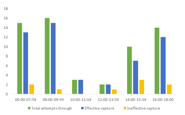 Figure 10: Effectiveness in attempts to capture prey by 13 hawks in the Laguna Escobalito, Toluviejo, and Sucre.