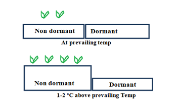 Figure 1: Simple scheme of disrupted balance of dormant and non-dormant seeds due to increased temperatures.