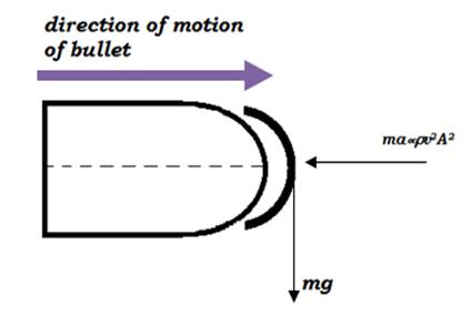 Figure 4: Showing matching of striations on test bullet with those on jacket of bullet fired in sheet of gauge 14.
