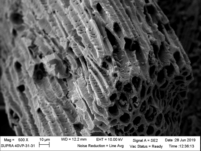 Figure 3: N2 Adsorption-isotherm graph of (a) carbonized EFB, (b) non-treated AC-EFB, (c) treated AC-EFB and (d) AC/MoO3(5%).