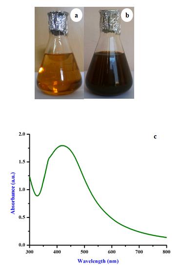 Figure 2: a and b Color intensity of biosynthesized silver nanoparticles from aqueous extract of Anisomeles indica c. Color intensity of UV spectral peak of biosynthesized AgNPs.