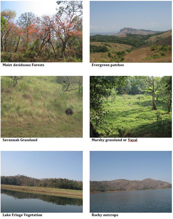 Figure 2: Vegetation in and around Idukki Wildlife Sanctuary.