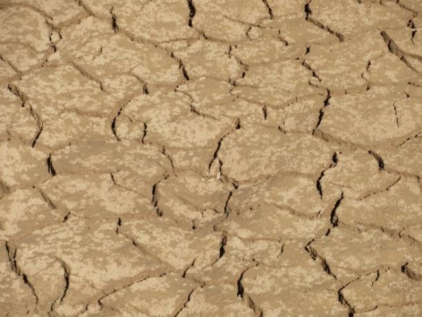 Figure 8: No plant area in Africa.
