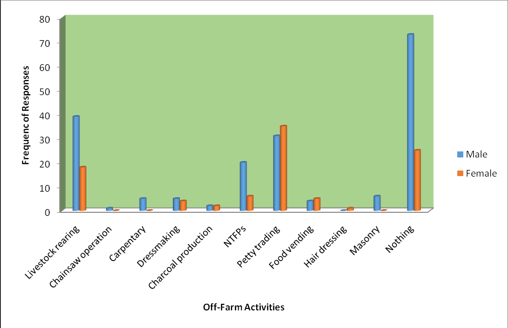 Figure 4: Off-Farm Income Generating Activities.