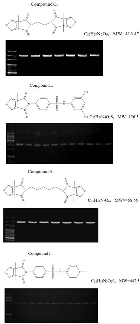 Figure 20
