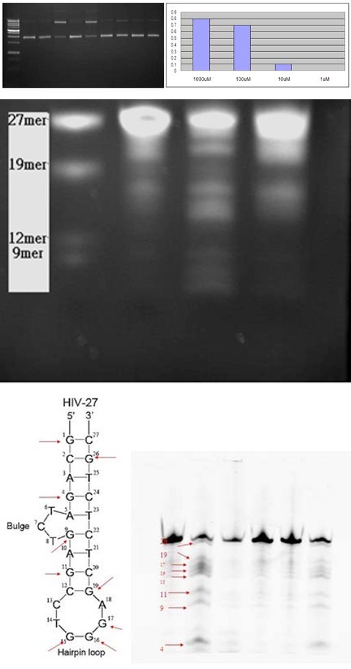 Figure 22