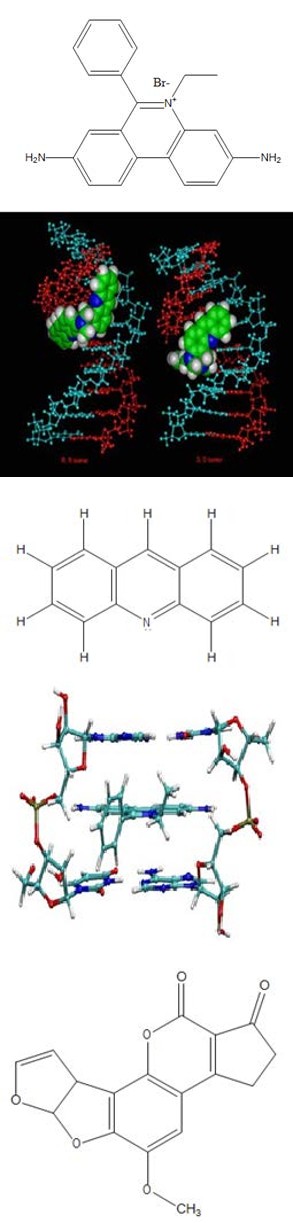 Figure 3: 1).