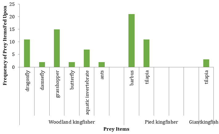 Figure 1: Different prey Items fed upon by Kingfisher (woodland) at Opa Reservoir.