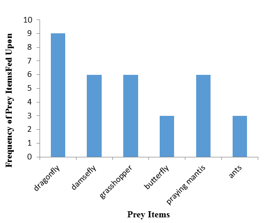 Figure 2: Different prey Items fed upon by Kingfisher (woodland) at Osu Reservoir.