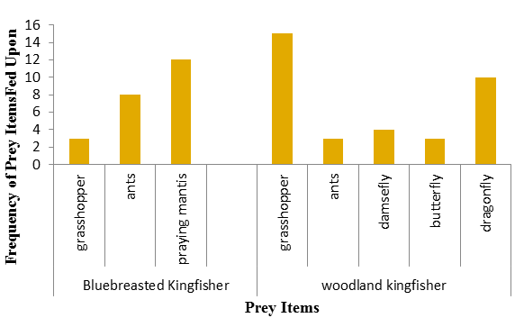 Figure 3: Different prey Items fed upon by Kingfisher at Osinmo Reservoir.