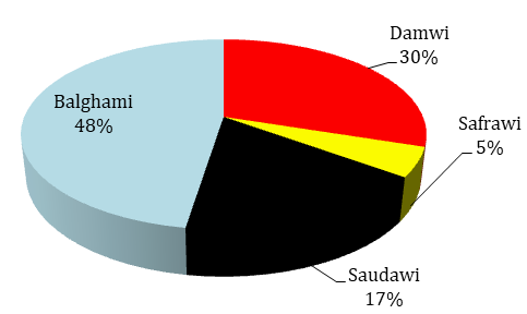 Figure 4: Percentage of Patients according to _Mizaj._