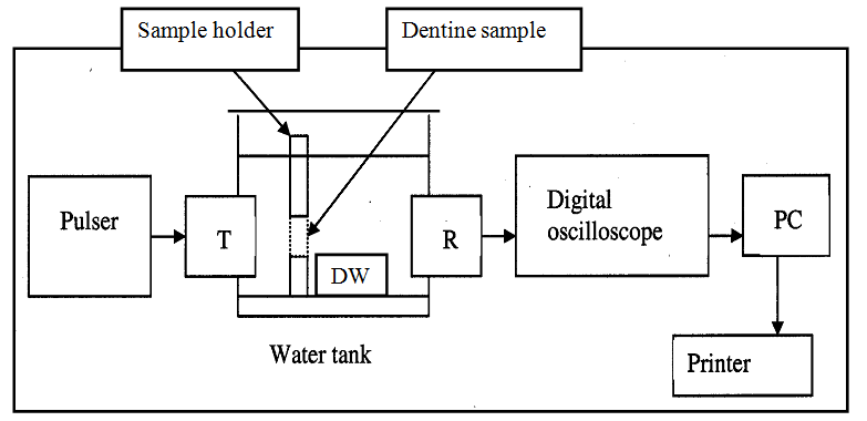 Figure 1: A special sample holder made of polystyrene material was fabricated for the present study. The sample holder was designed to hold dentine sample between transducers in the ultrasonic tank during measurements, to ensure that all the ultrasonic waves passed through the sample and to mask ultrasonic waves that may pass around the sample.