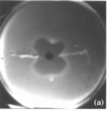 Figure 1: The Three-dimensional test.