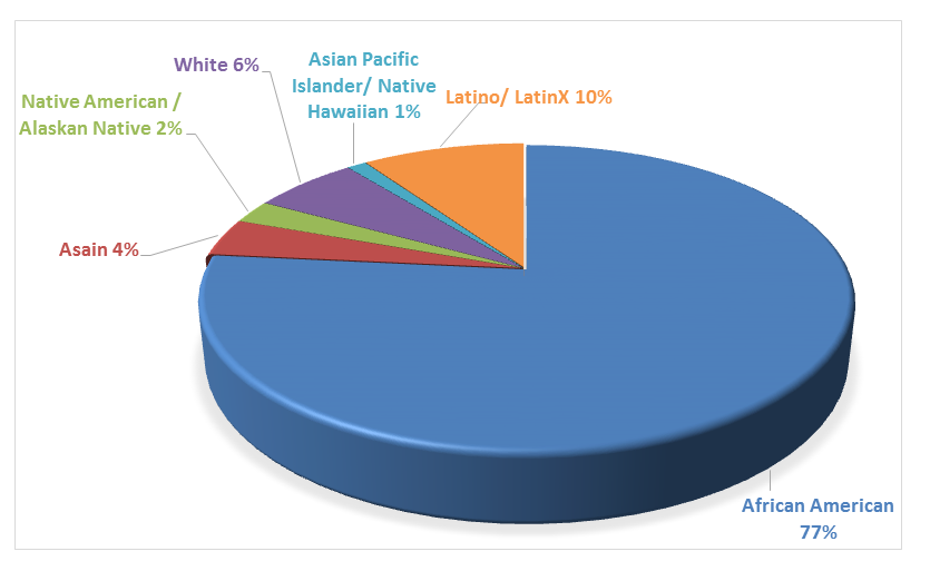 Figure 1: Race and Ethnicity of the Participants). Only the participant responses that identified their gender as women were utilized in the analysis (99.2%). The majority (91.8%) of the respondents identified as heterosexual (Table 1: Sexual Orientation). The average household income of the respondents was between $100k - $149k, and overwhelming 93% identified as not dependent with 94% reporting that they had access to health insurance. The majority (68%) of the respondent reported that they had attained at least a master’s degree. Over half, (51%) identified as single with 59% reporting having no dependent children or elderly.