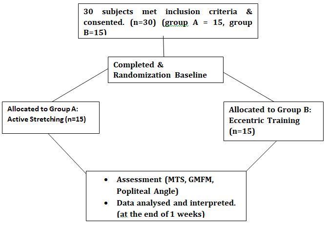Figure 1: Study design and flow of the participants through each stages of the trial.