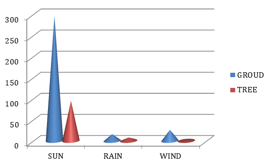 Figure 9: Weather condition and snake location.
