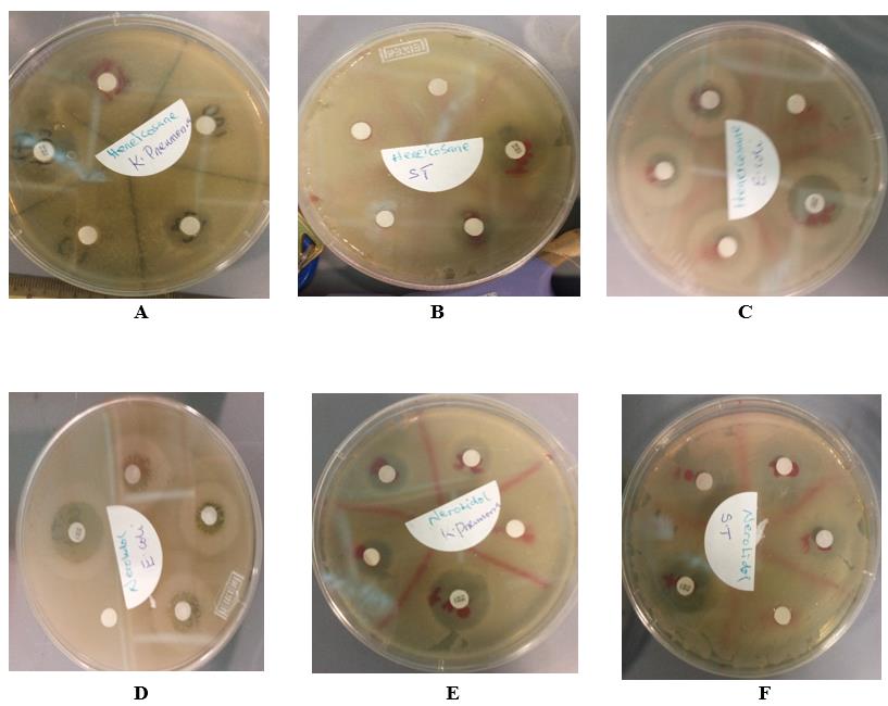 Figure 13