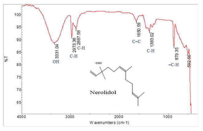 Figure 6: IR Spectrum of Compound.