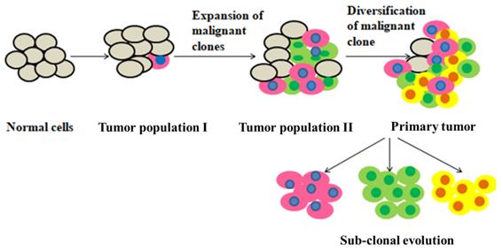 Figure 1: This figure represents the heterogeneity in cancer cell population. Here it is shown that tumor Heterogeneity increases as cancer progresses and leads to treatment resistance as a consequence.