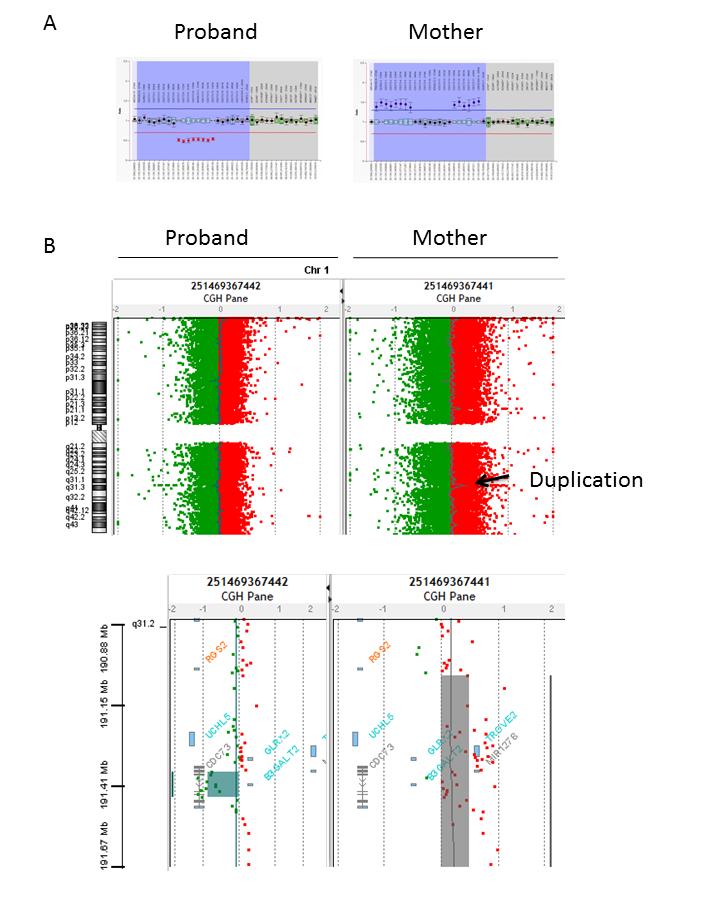 Figure 2: Rearrangement studies. MLPA profiles of the proband and his mother.