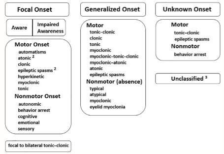Figure 3: ILEA 2017 classification of seizures types expanded version.