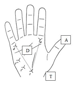 Figure 3: ATD angle (courtesy research gate).