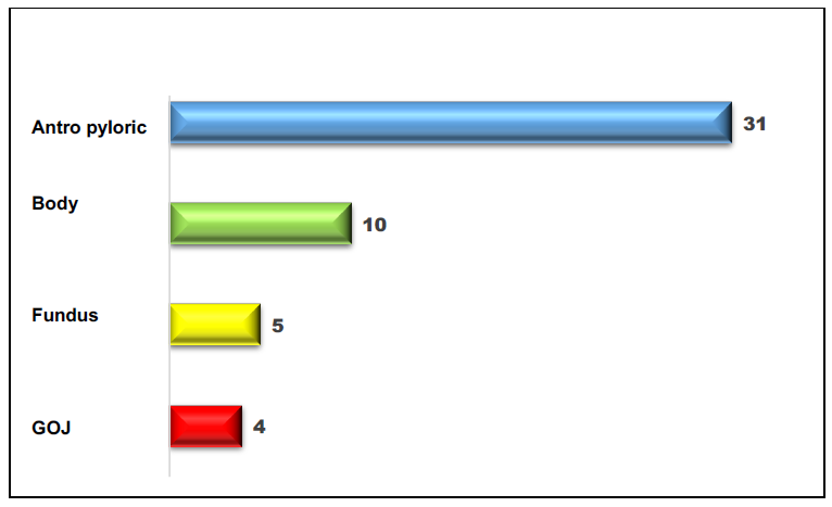 Figure 2: Distribution of lesions according to location.