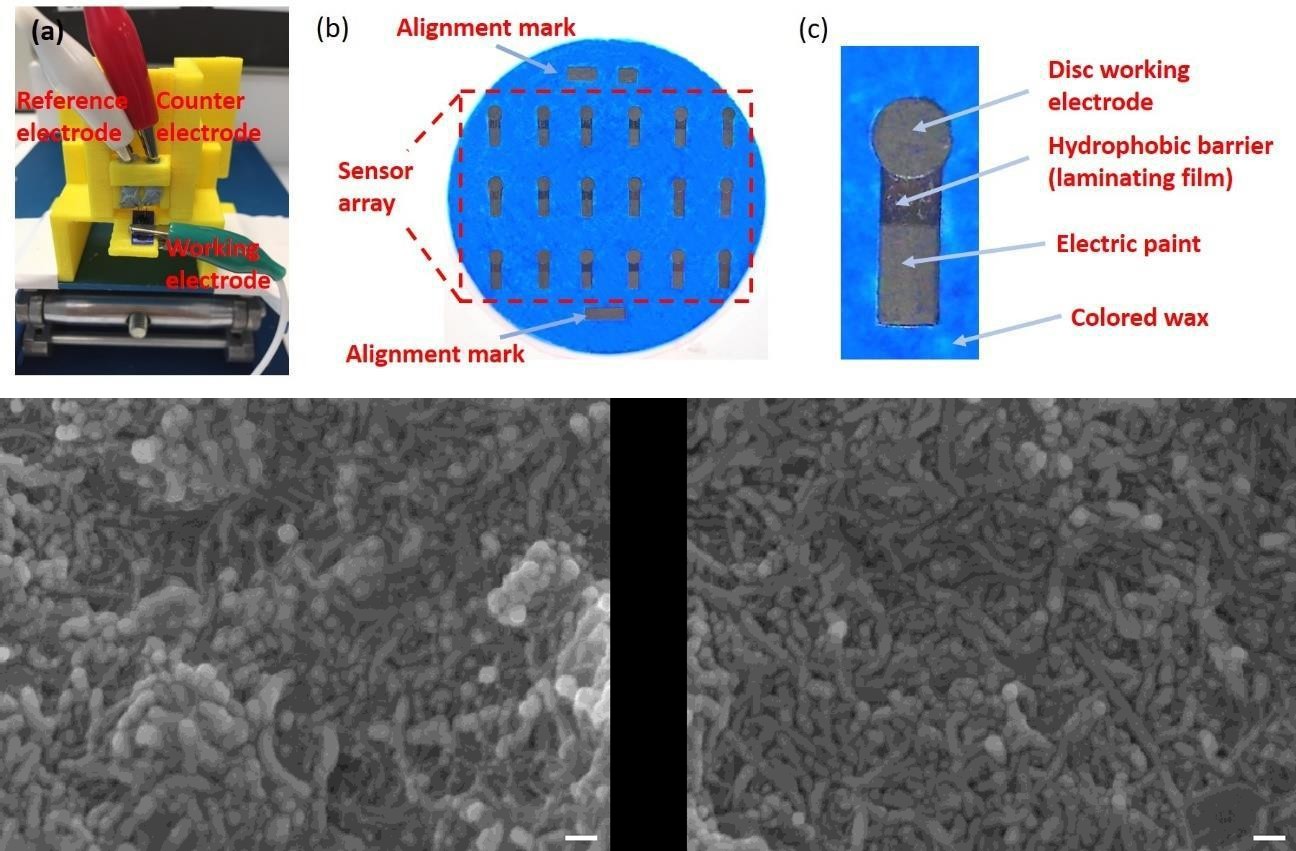 Figure 2: Pictures of the electrochemical sensor: (a) sensor mounted on the testing jig; (b) Optical image of working electrode array on a 90 mm diameter filter paper; (c) PDDA/MWNTs disc working electrode (4 mm diameter) which is surrounded by colored wax and a hydrophobic barrier on top.