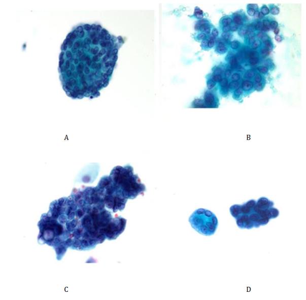Figure 46