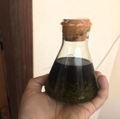 Figure 3: Extract ready for filtration and solvent evaporation.