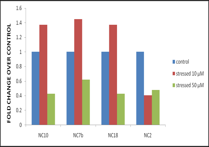 Figure 3: LlaNAC gene expression in terms of fold change over control in response to 10 and 50 µM ABA for one week against control.