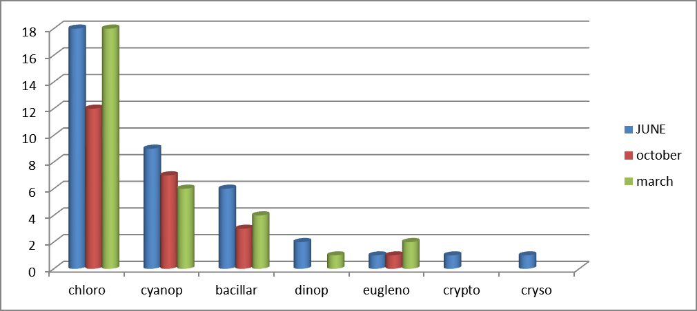 Figure 1: Temporal distribution of microalgae phyla.