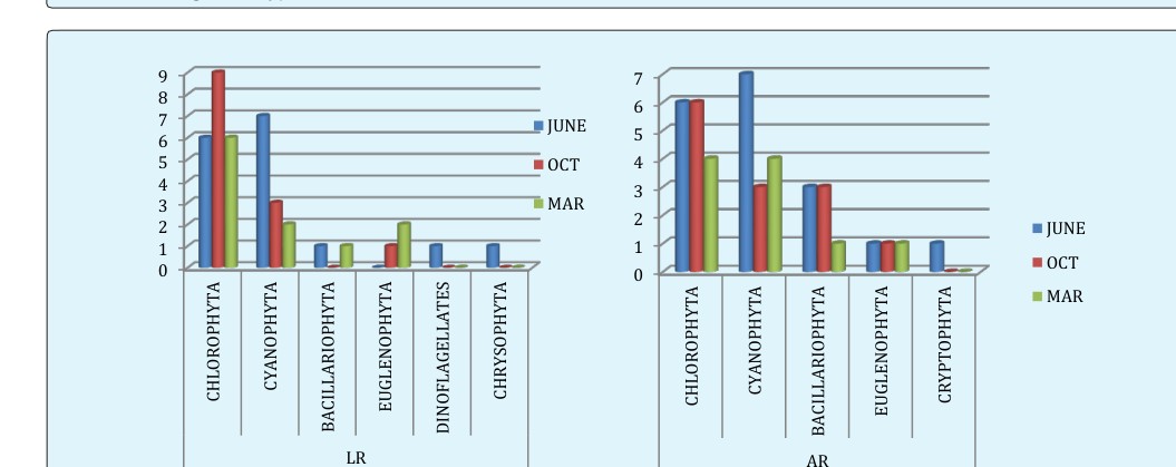 Figure 4: BR (Babugaya Resort) and ILRI (International Livestock Research Institute) microalgae phyla dynamics during June, October and March (three seasons wet, flowering and dry).