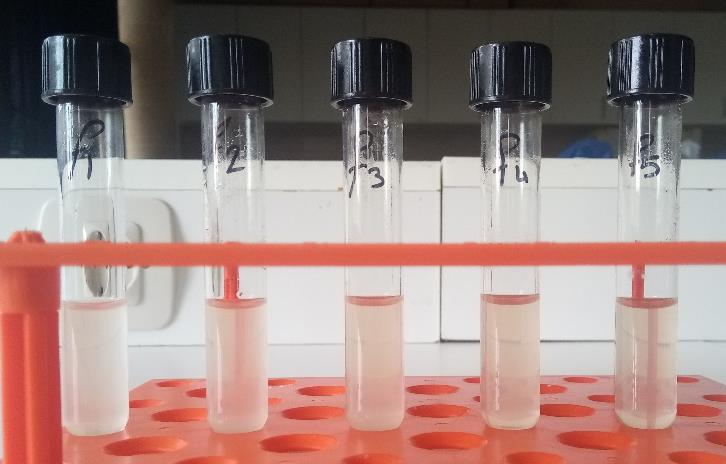Figure 1: **CAS ID:** 68-89-3 **Molar mass:** 333.341 g/mol **Formula:** C13H17N3O4S **Excretion:** Urine (96%, IV; 85%, oral), faeces (4%, IV). **Bioavailability:** 100% (active metabolites) **Trade name:** Metamizole, dipyrone, Novalgin, others