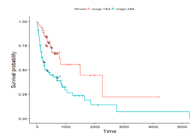 Figure 7: Stage.