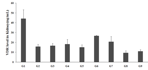 Figure 5: Vitamin D3 deficient diet (G2) group showed level of VDR 15.66 ± 2.37 ng/mL, which was significantly decreased by 64.4% as compared to the normal control (G1, 44 ± 9.27 ng/mL). Calcitriol treatment (G3), treatment showed an increased the kidney VDR level (16.50 ± 2.42 ng/mL) by 5.4% as compared to the G2. G4, G6, and G7 groups showed an increased the kidney VDR level by 16%, 69.5%, 31%, and 8%, respectively as compared with the G2. However, kidney VDR level was significantly increased by 46.1% and 12.9% in G6 and G7 groups, respectively as compared with the G4 group. Overall, the data suggested that the Biofield Energy Treatment per se significantly improved the VDR expression in kidney in all the experimental groups along with the preventive treatment groups (Figure 5).