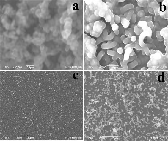 Figure 3: SEM images of grown CNT on; a) Ni catalyst at 9000 ºC for 20 min. b) Co catalyst at 900 ºC for 20 min. c) Co catalyst at 900 ºC for 10 min. d) FeCl3.6H2O/ZnO catalyst at 1100 ºC for 10 min.